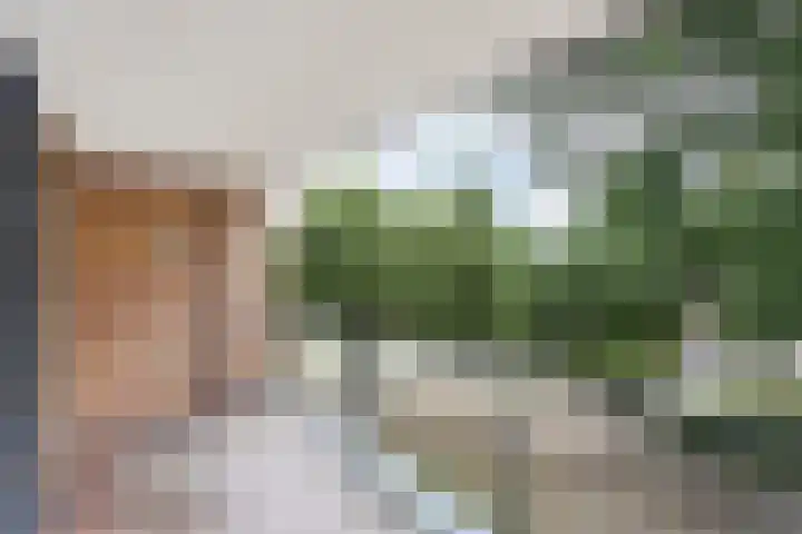 Anton Philipslaan 150 Eindhoven thumbnail 19