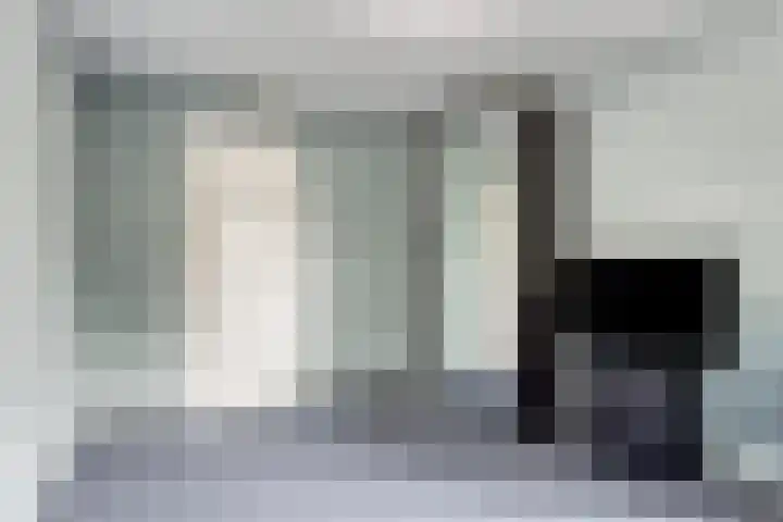 Anton Philipslaan 150 Eindhoven thumbnail 21
