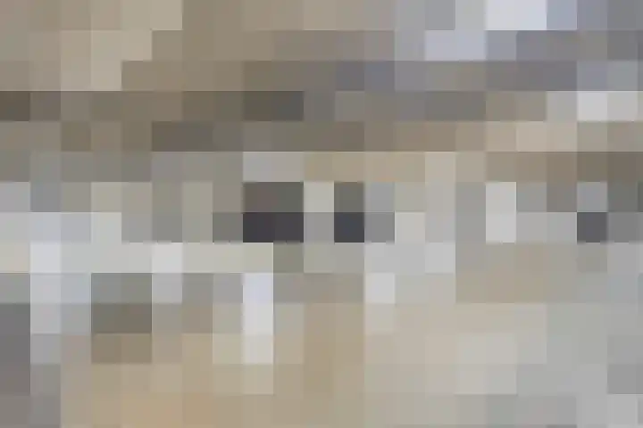 Anton Philipslaan 150 Eindhoven thumbnail 27
