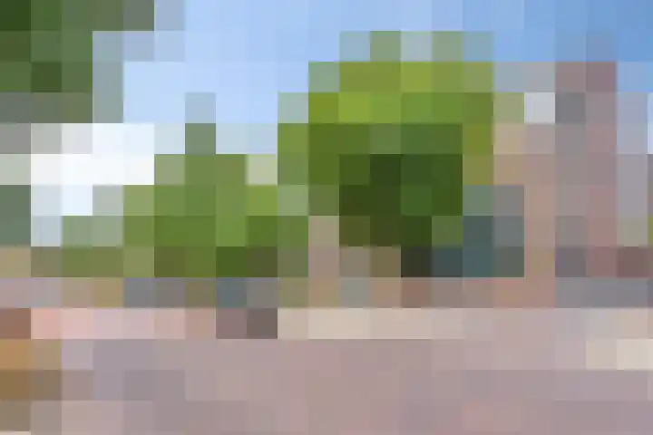 Anton Philipslaan 150 Eindhoven thumbnail 28
