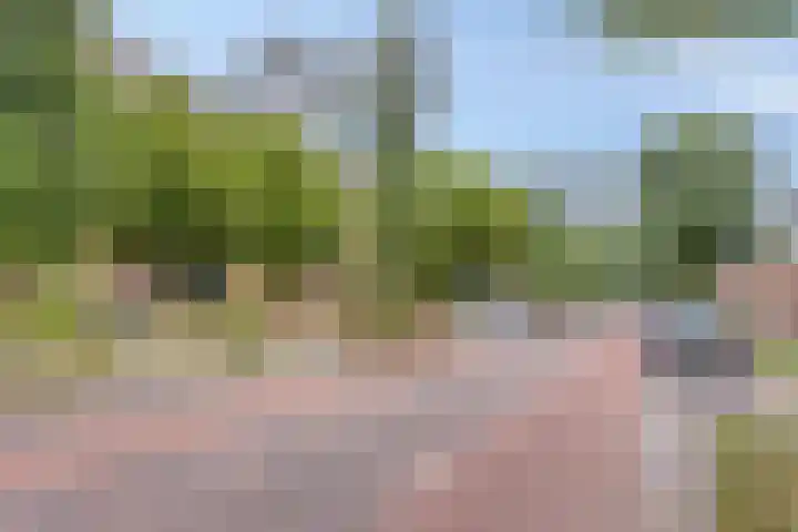 Anton Philipslaan 150 Eindhoven thumbnail 29