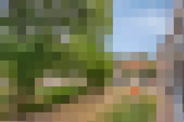 Anton Philipslaan 150 Eindhoven thumbnail 30