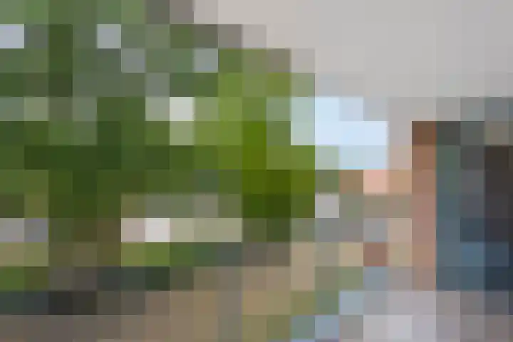 Anton Philipslaan 150 Eindhoven thumbnail 4
