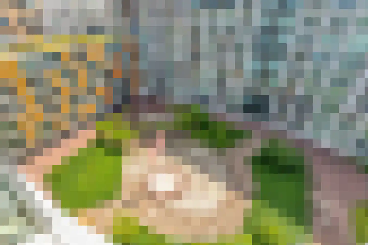 Anton Philipslaan 153 Eindhoven thumbnail 19