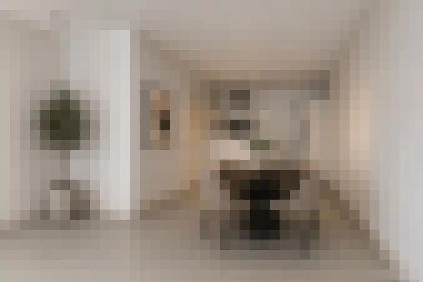 Anton Philipslaan 153 Eindhoven thumbnail 21