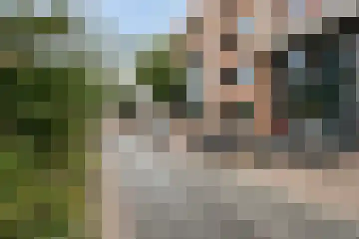 Anton Philipslaan 154 Eindhoven thumbnail 10
