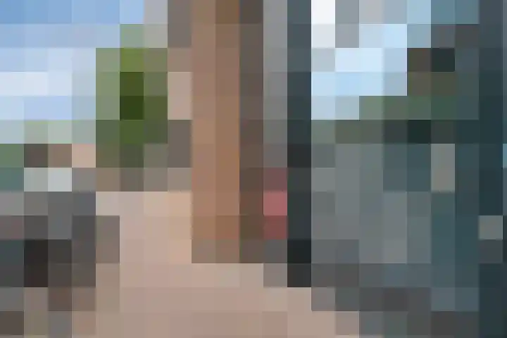 Anton Philipslaan 154 Eindhoven thumbnail 11