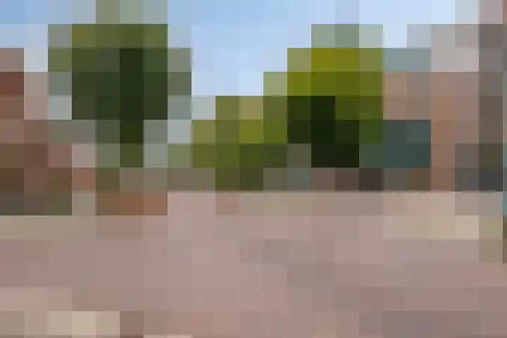 Anton Philipslaan 154 Eindhoven thumbnail 13