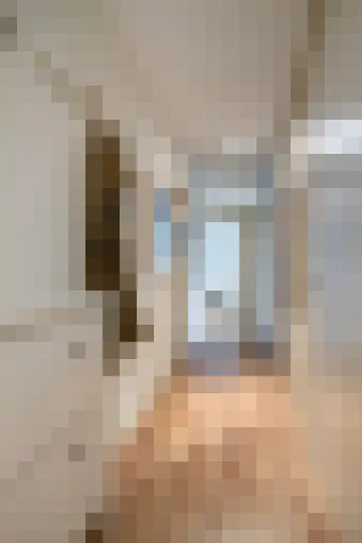 Anton Philipslaan 154 Eindhoven thumbnail 17