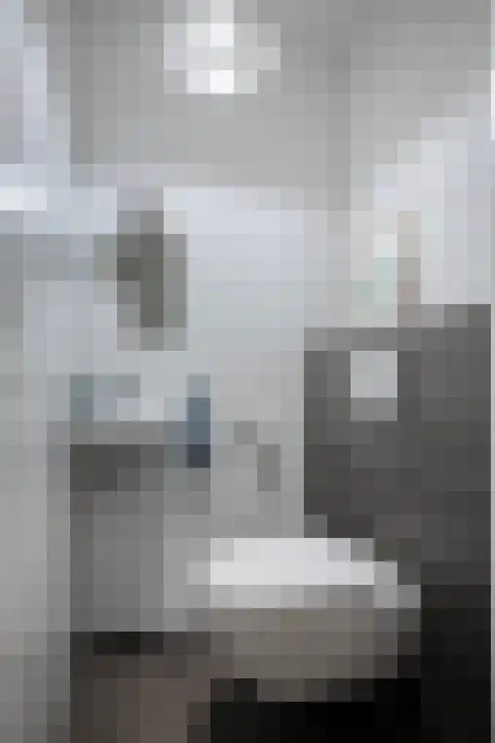 Anton Philipslaan 154 Eindhoven thumbnail 19