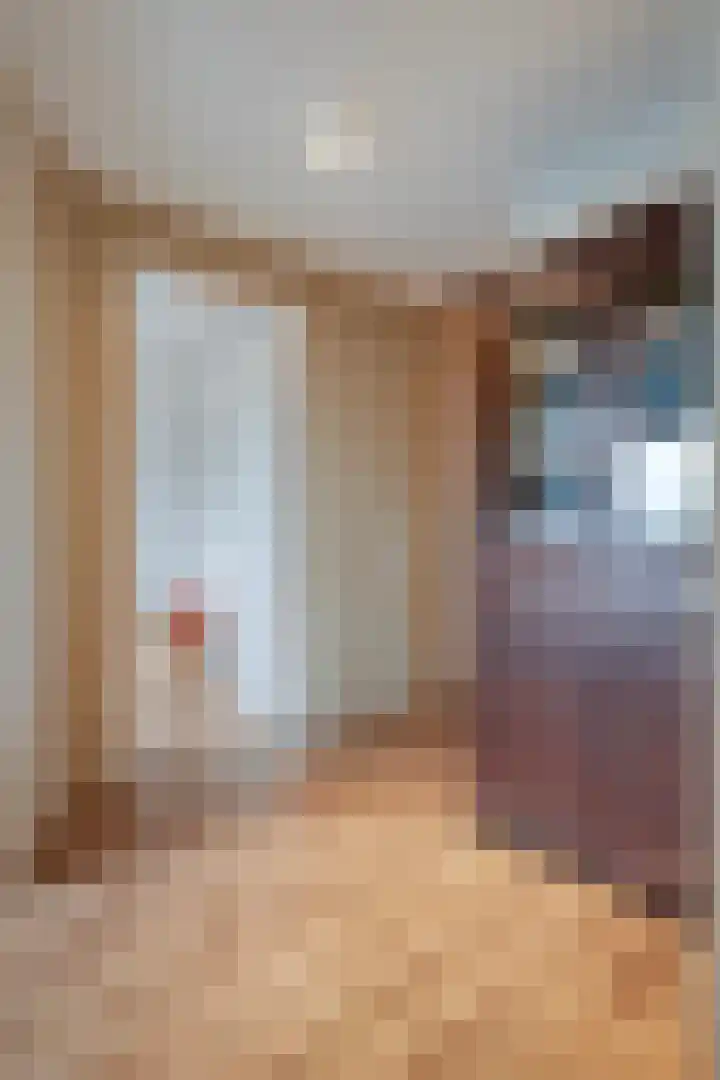 Anton Philipslaan 154 Eindhoven thumbnail 22