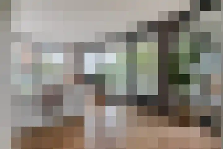 Anton Philipslaan 154 Eindhoven thumbnail 23