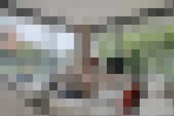 Anton Philipslaan 154 Eindhoven thumbnail 24