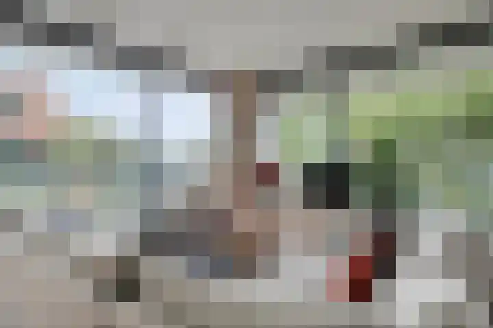 Anton Philipslaan 154 Eindhoven thumbnail 25