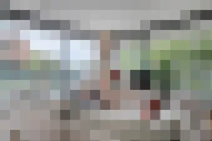 Anton Philipslaan 154 Eindhoven thumbnail 26
