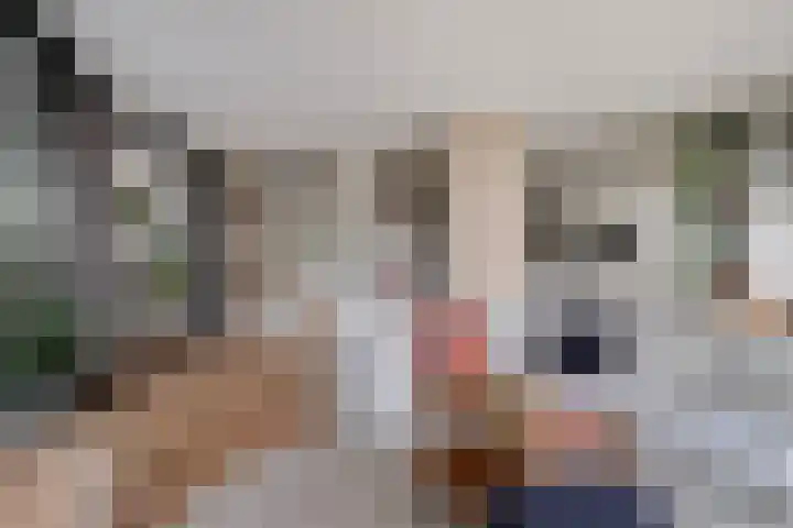 Anton Philipslaan 154 Eindhoven thumbnail 30