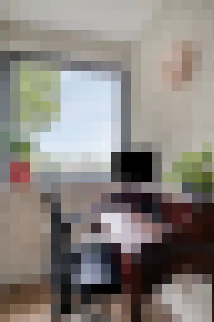 Anton Philipslaan 154 Eindhoven thumbnail 38