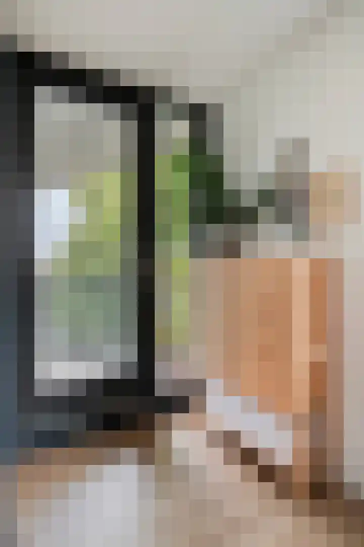 Anton Philipslaan 154 Eindhoven thumbnail 39