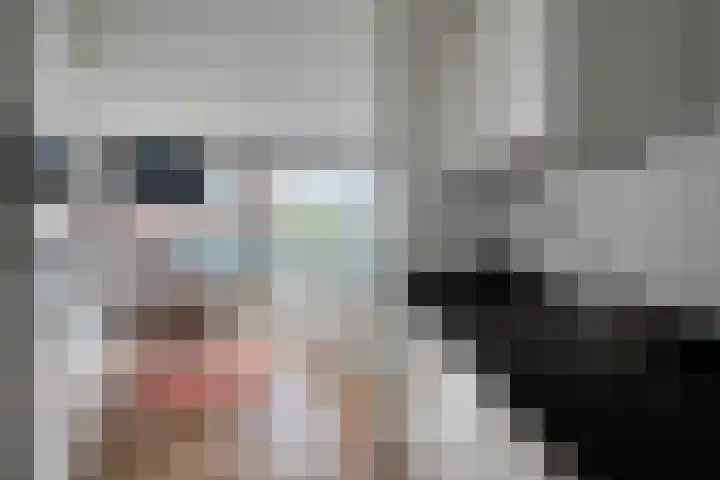 Anton Philipslaan 154 Eindhoven thumbnail 40