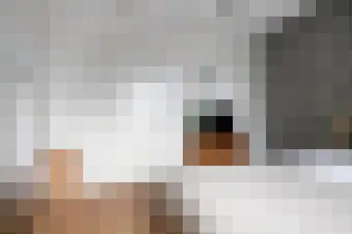 Anton Philipslaan 154 Eindhoven thumbnail 41