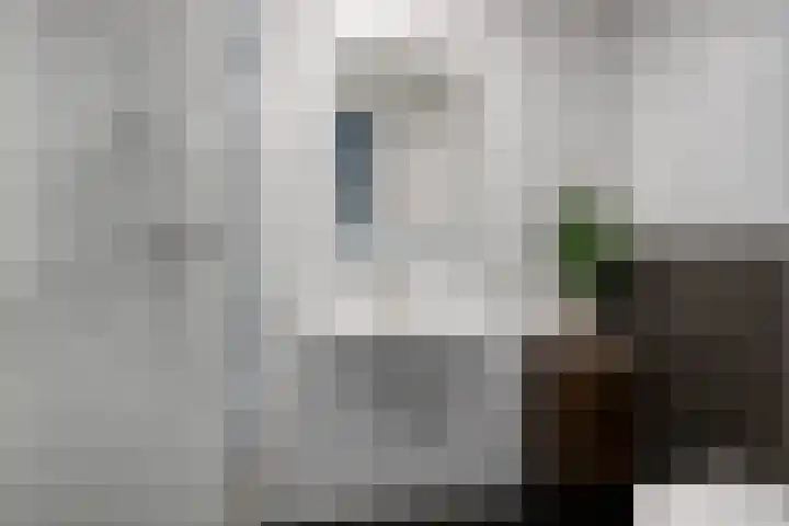 Anton Philipslaan 154 Eindhoven thumbnail 43