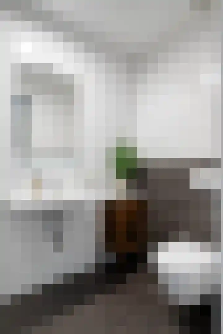 Anton Philipslaan 154 Eindhoven thumbnail 44