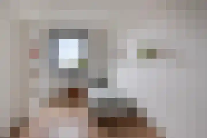 Anton Philipslaan 154 Eindhoven thumbnail 46