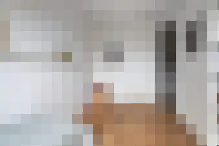 Anton Philipslaan 154 Eindhoven thumbnail 47