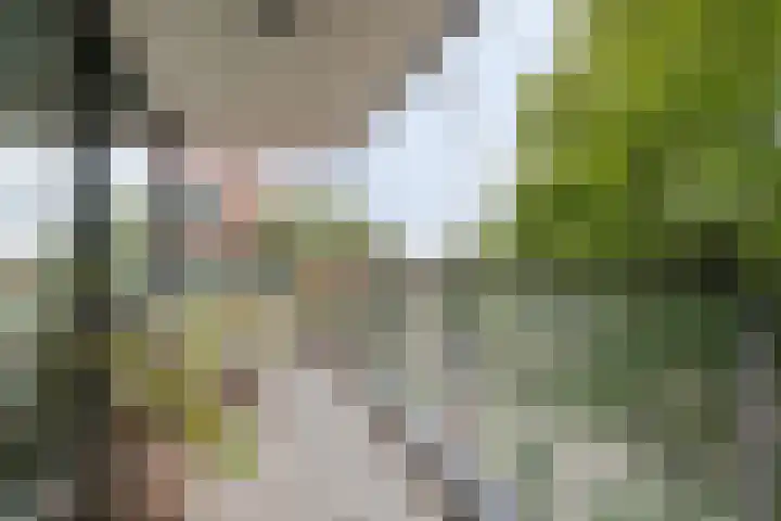 Anton Philipslaan 154 Eindhoven thumbnail 48