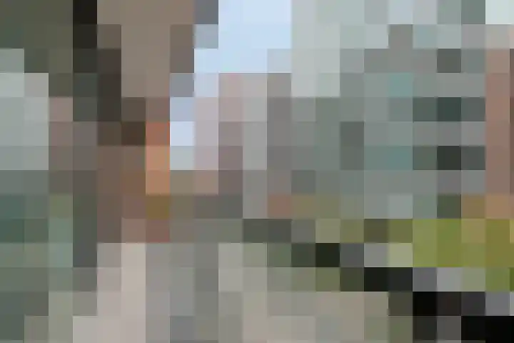 Anton Philipslaan 154 Eindhoven thumbnail 49