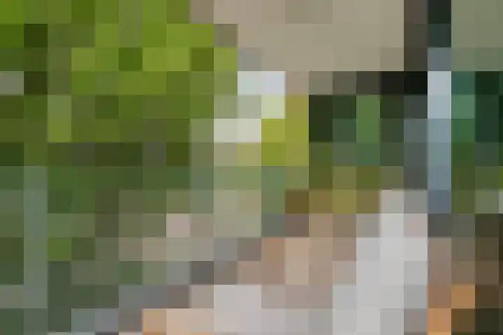 Anton Philipslaan 154 Eindhoven thumbnail 5