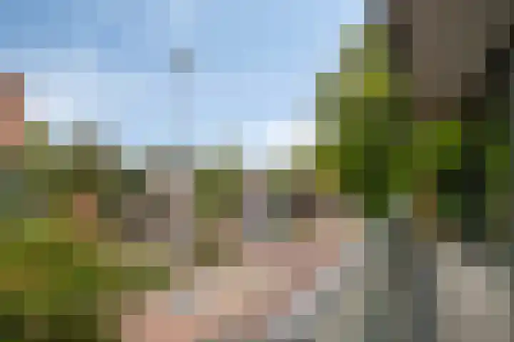 Anton Philipslaan 154 Eindhoven thumbnail 50