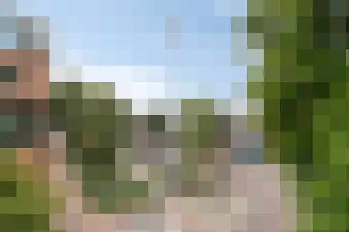 Anton Philipslaan 154 Eindhoven thumbnail 51