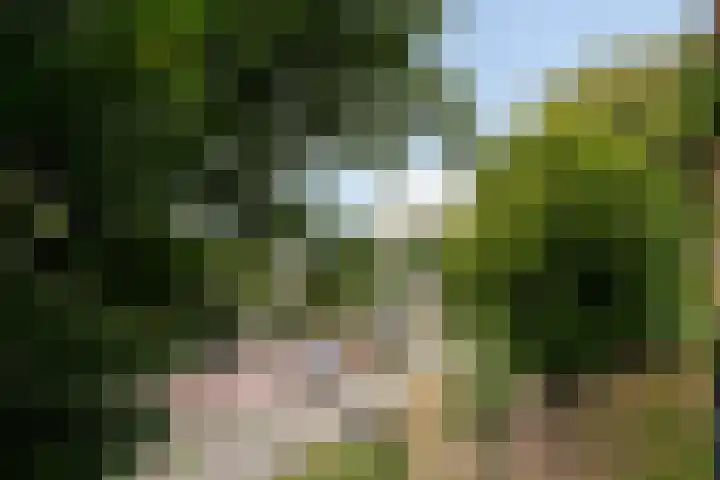 Anton Philipslaan 154 Eindhoven thumbnail 52