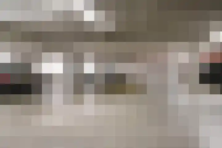 Anton Philipslaan 154 Eindhoven thumbnail 53