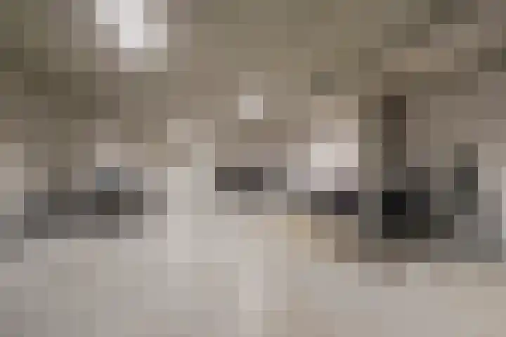 Anton Philipslaan 154 Eindhoven thumbnail 54