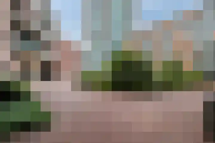 Anton Philipslaan 154 Eindhoven thumbnail 55