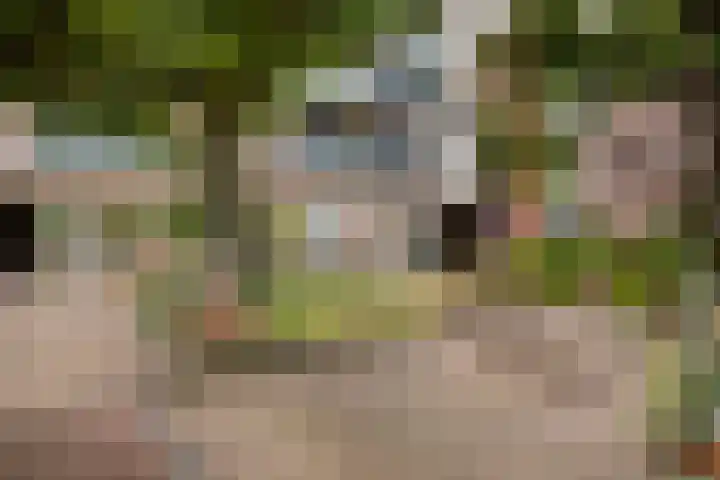 Anton Philipslaan 154 Eindhoven thumbnail 56