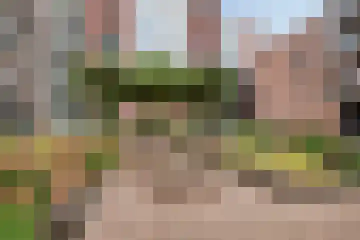 Anton Philipslaan 154 Eindhoven thumbnail 57