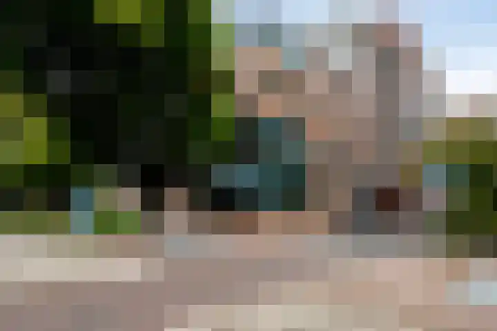 Anton Philipslaan 154 Eindhoven thumbnail 6