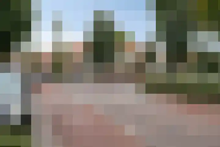 Anton Philipslaan 154 Eindhoven thumbnail 60