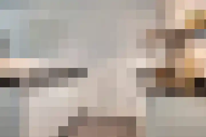 Anton Philipslaan 157 Eindhoven thumbnail 12