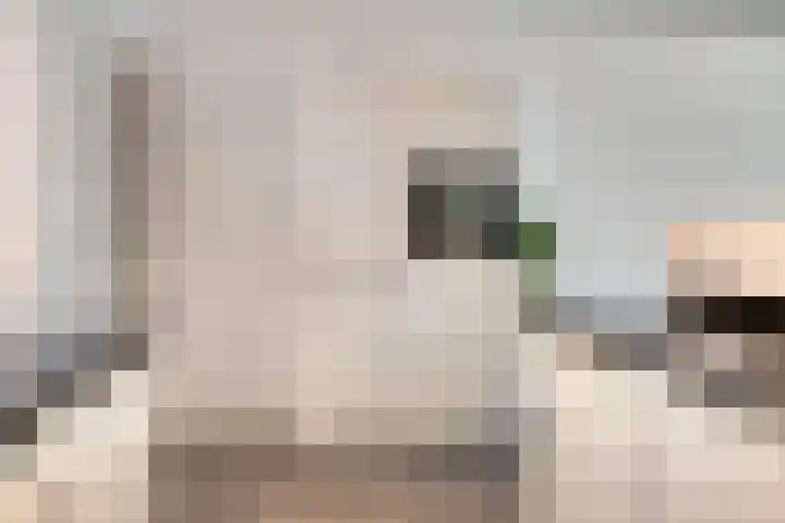 Anton Philipslaan 157 Eindhoven thumbnail 13