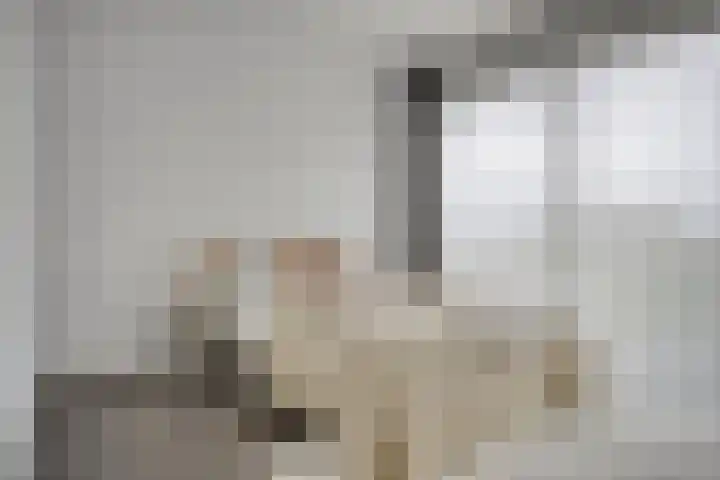 Anton Philipslaan 157 Eindhoven thumbnail 18