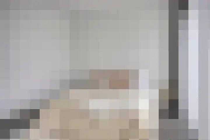Anton Philipslaan 157 Eindhoven thumbnail 19