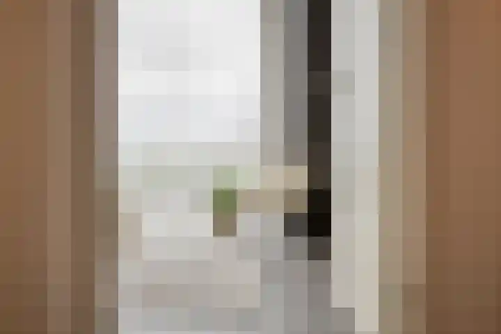 Anton Philipslaan 157 Eindhoven thumbnail 20
