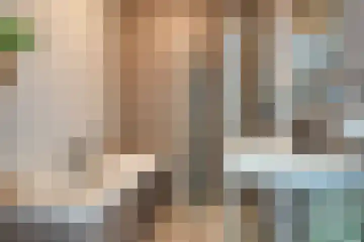 Anton Philipslaan 157 Eindhoven thumbnail 21