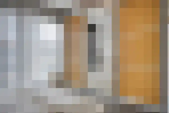 Anton Philipslaan 157 Eindhoven thumbnail 22