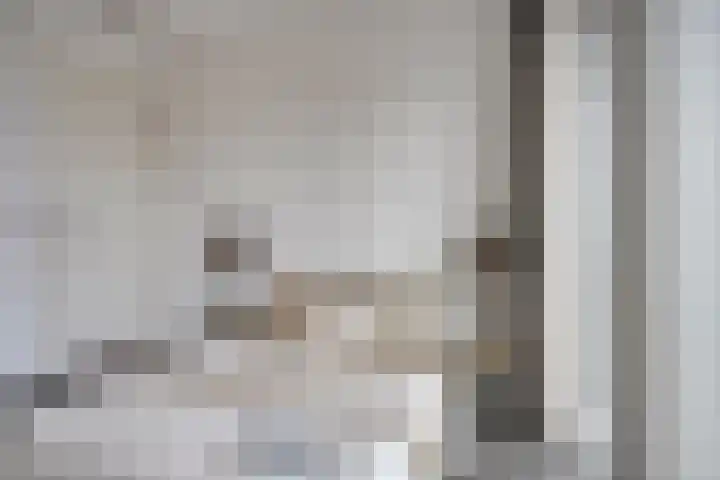 Anton Philipslaan 157 Eindhoven thumbnail 24