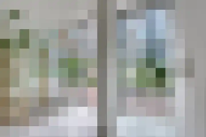 Anton Philipslaan 157 Eindhoven thumbnail 26